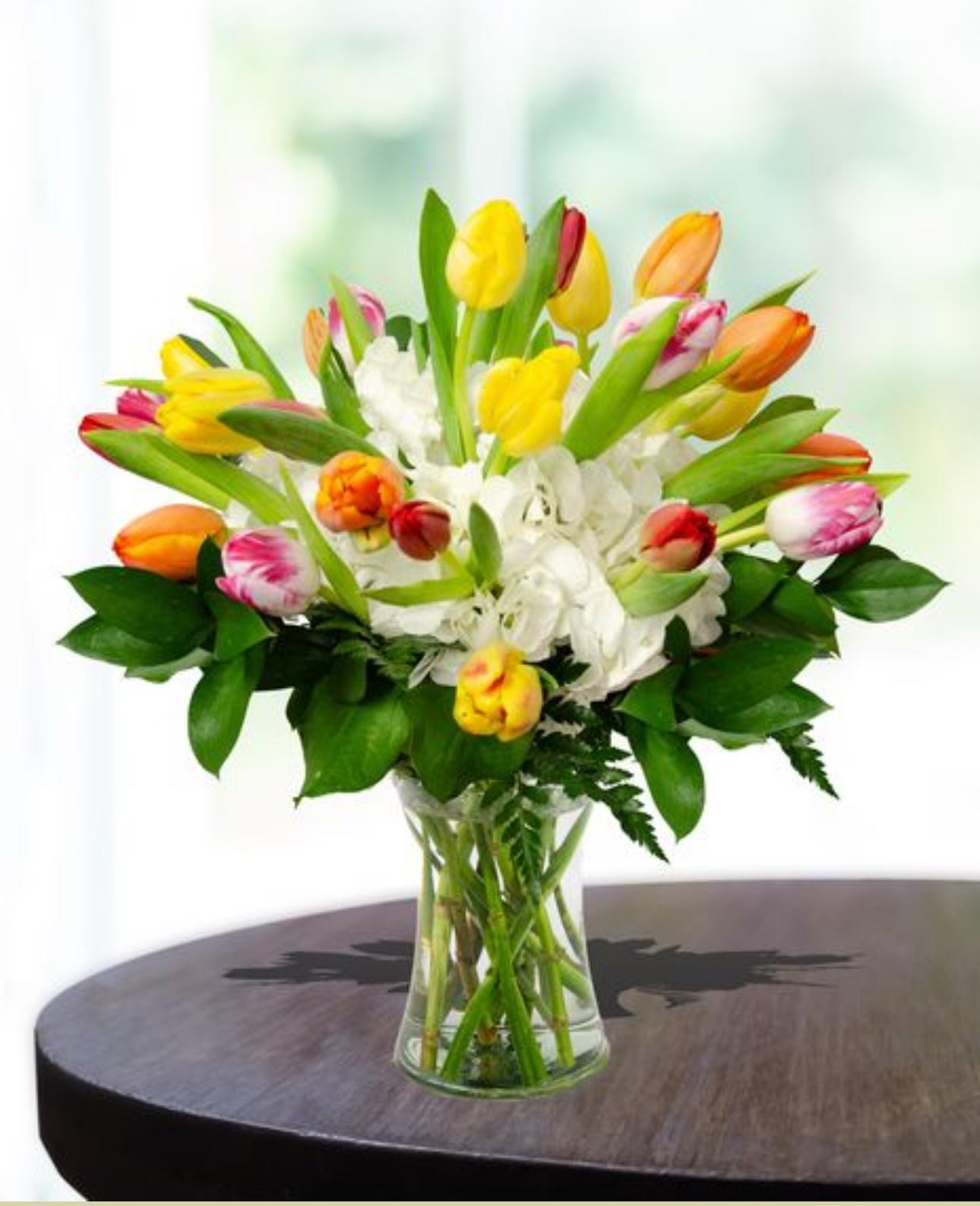 Tulip and Hydrangeas